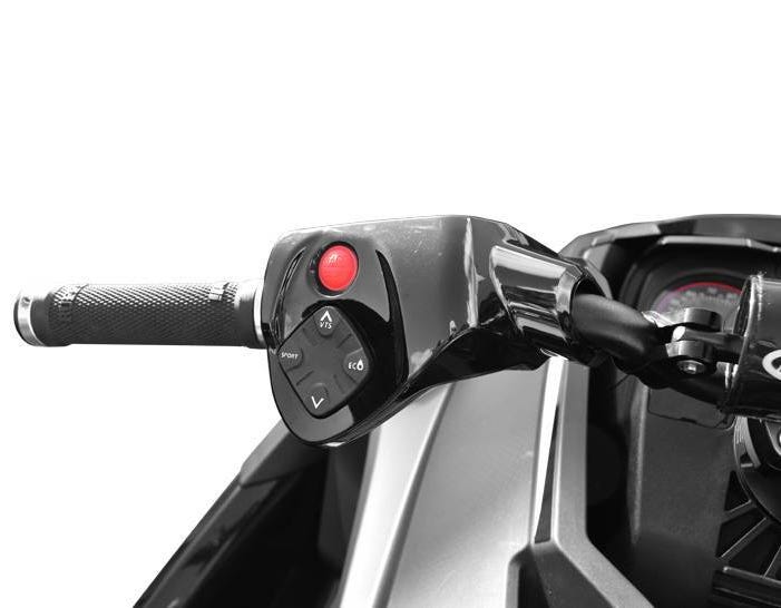 Riva Sea-Doo 2018 RXT/GTX & 2021+ RXT/GTX with Cruise Control or BRP Connect Button Control Housing Set