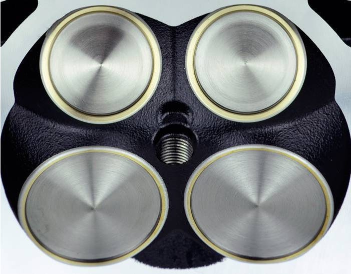 Riva Sea-Doo Performance Valve Seats