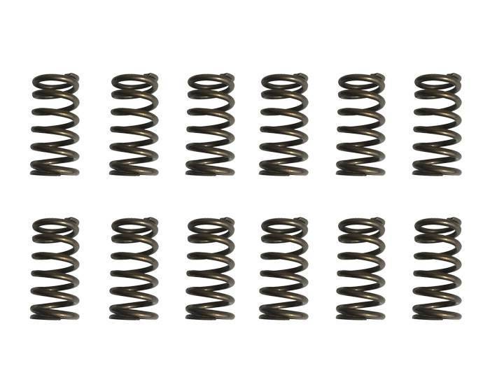 Riva Sea-Doo 4-TEC Valve Train Upgrade Kit