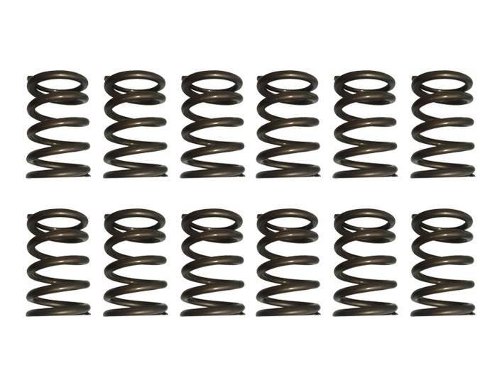 Riva Sea-Doo 4-TEC Valve Train Upgrade Kit
